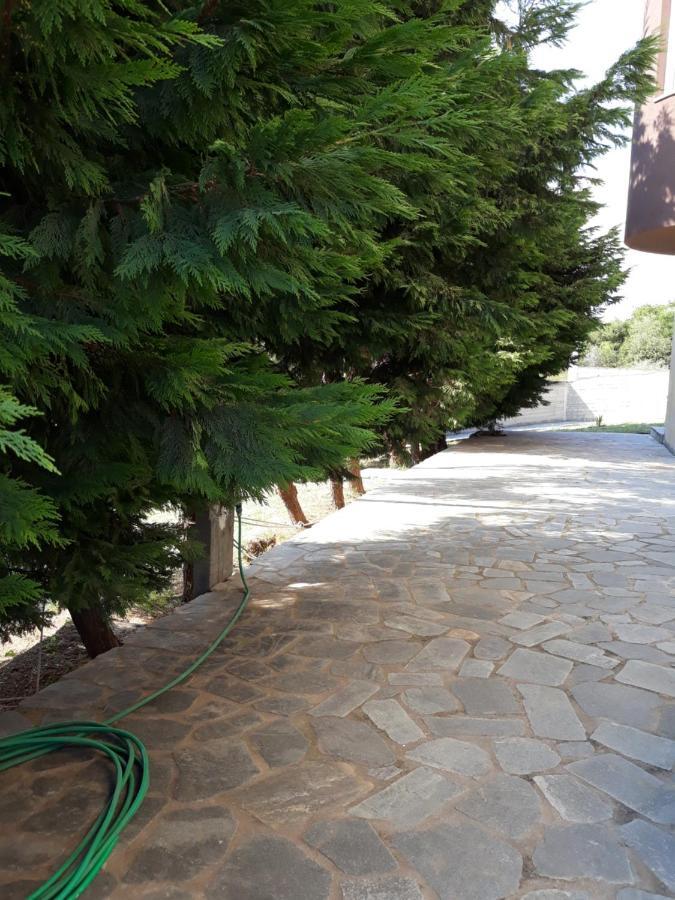 Apartment Ithakis Nea Iraklitsa エクステリア 写真